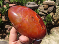 Polished Large Carnelian Agate Standing Free Forms x 4 From Madagascar - TopRock