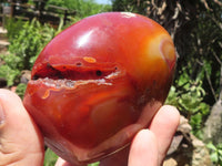 Polished Large Carnelian Agate Standing Free Forms x 4 From Madagascar - TopRock