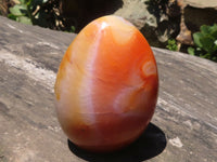 Polished Large Carnelian Agate Standing Free Forms x 4 From Madagascar - TopRock