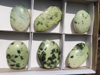 Polished Large Leopard Stone Gallets  x 6 From Zimbabwe - TopRock