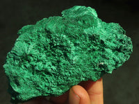 Natural Chatoyant Silky Malachite Specimens  x 3 From Kasompe, Congo