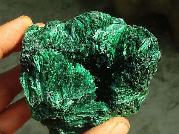 Natural Chatoyant Silky Malachite Specimens  x 3 From Kasompe, Congo