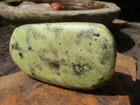 Polished Large Leopard Stone Gallets  x 6 From Zimbabwe - TopRock