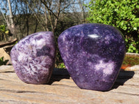 Polished Deep Purple Lepidolite Standing Free Forms  x 2 From Zimbabwe - Toprock Gemstones and Minerals 