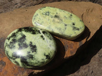 Polished Large Leopard Stone Gallets  x 6 From Zimbabwe - TopRock