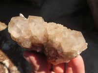 Natural Cascading Smokey Quartz Clusters x 6 From Luena, Congo