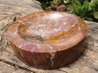 Polished Petrified Red Podocarpus Wood Bowl  x 1 From Mahajanga, Madagascar - TopRock