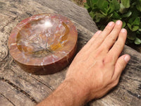 Polished Petrified Red Podocarpus Wood Bowl  x 1 From Mahajanga, Madagascar - TopRock