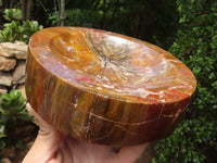 Polished Petrified Red Podocarpus Wood Bowl  x 1 From Mahajanga, Madagascar - TopRock