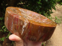 Polished Petrified Red Podocarpus Wood Bowl  x 1 From Mahajanga, Madagascar - TopRock