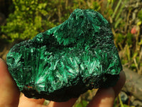 Natural Chatoyant Silky Malachite Specimens  x 3 From Kasompe, Congo