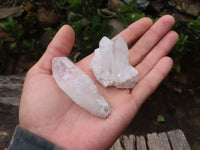 Natural Single Clear Quartz Crystals  x 20 From Zambia - Toprock Gemstones and Minerals 