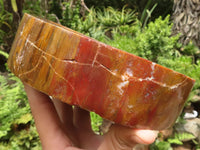 Polished Petrified Red Podocarpus Wood Bowl  x 1 From Mahajanga, Madagascar - TopRock