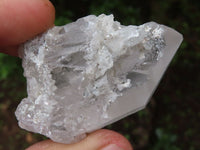 Natural Single Clear Quartz Crystals  x 20 From Zambia - Toprock Gemstones and Minerals 