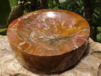 Polished Petrified Red Podocarpus Wood Bowl  x 1 From Mahajanga, Madagascar - TopRock