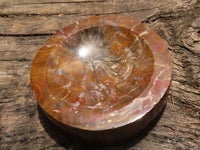 Polished Petrified Red Podocarpus Wood Bowl  x 1 From Mahajanga, Madagascar - TopRock