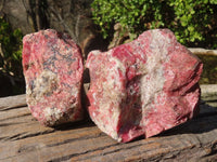 Natural Rough Red Rhodonite Specimens x 2 From Zimbabwe