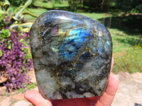 Polished Labradorite Standing Free Form x 1 From Tulear, Madagascar - TopRock