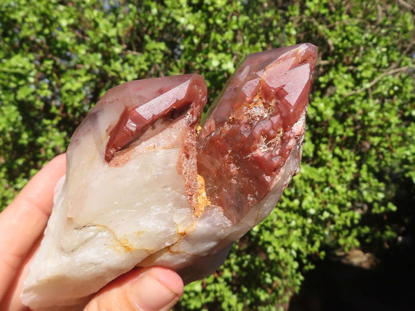 Natural Red Hematoid Quartz Specimens  x 2 From Karoi, Zimbabwe - Toprock Gemstones and Minerals 