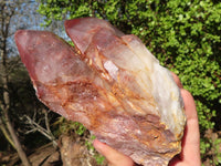 Natural Red Hematoid Quartz Specimens  x 2 From Karoi, Zimbabwe - Toprock Gemstones and Minerals 