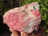 Natural Rough Red Rhodonite Specimens x 2 From Zimbabwe