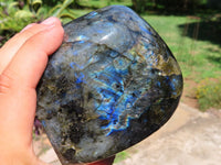 Polished Labradorite Standing Free Form x 1 From Tulear, Madagascar - TopRock