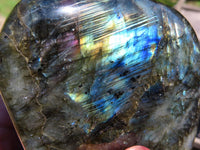 Polished Labradorite Standing Free Form x 1 From Tulear, Madagascar - TopRock