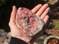 Natural Rough Red Rhodonite Specimens x 2 From Zimbabwe