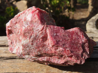 Natural Rough Red Rhodonite Specimens x 2 From Zimbabwe