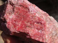 Natural Rough Red Rhodonite Specimens x 2 From Zimbabwe