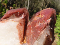 Natural Red Hematoid Quartz Specimens  x 2 From Karoi, Zimbabwe - Toprock Gemstones and Minerals 