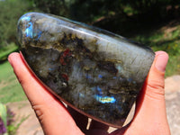 Polished Labradorite Standing Free Form x 1 From Tulear, Madagascar - TopRock