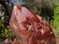 Natural Red Hematoid Quartz Specimens  x 2 From Karoi, Zimbabwe - Toprock Gemstones and Minerals 