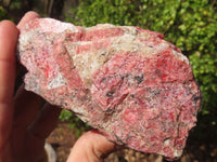 Natural Rough Red Rhodonite Specimens x 2 From Zimbabwe