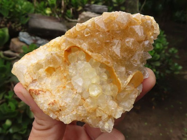 Natural Golden Limonite / Lemonite Quartz Clusters  x 12 From Zambia - Toprock Gemstones and Minerals 