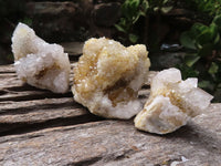 Natural Mixed Selection Of Small Spirit Quartz Clusters   x 24 From Boekenhouthoek, South Africa - TopRock