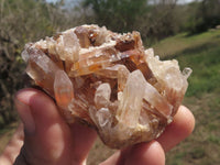 Natural Optic to Semi Optic Selected Quartz Clusters  x 11 From Madagascar - TopRock