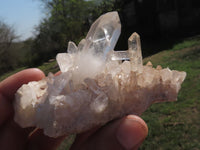 Natural Optic to Semi Optic Selected Quartz Clusters  x 11 From Madagascar - TopRock