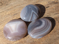 Polished Highly Selected Banded Agate Palm Stones  x 20 From Madagascar - Toprock Gemstones and Minerals 