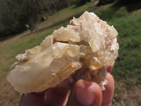 Natural Optic to Semi Optic Selected Quartz Clusters  x 11 From Madagascar - TopRock