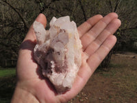 Natural Optic to Semi Optic Selected Quartz Clusters  x 11 From Madagascar - TopRock