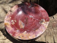 Polished Petrified Red Podocarpus Wood Dish  x 1 From Mahajanga, Madagascar - TopRock