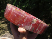 Polished Petrified Red Podocarpus Wood Dish  x 1 From Mahajanga, Madagascar - TopRock