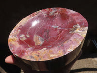 Polished Petrified Red Podocarpus Wood Dish  x 1 From Mahajanga, Madagascar - TopRock