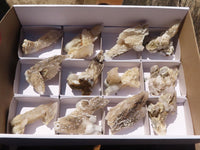 Natural Drusy Quartz Coated Calcite Crystals  x 12 From Alberts Mountain, Lesotho - Toprock Gemstones and Minerals 