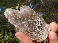 Natural Drusy Quartz Coated Calcite Crystals  x 12 From Alberts Mountain, Lesotho - Toprock Gemstones and Minerals 