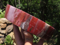 Polished Petrified Red Podocarpus Wood Dish  x 1 From Mahajanga, Madagascar - TopRock