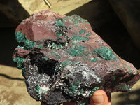 Natural Drusy Coated Malachite On Dolomite Specimen  x 1 From Likasi, Congo - Toprock Gemstones and Minerals 