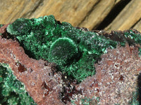 Natural Drusy Coated Malachite On Dolomite Specimen  x 1 From Likasi, Congo - Toprock Gemstones and Minerals 