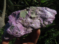 Natural Rare Stichtite & Green Serpentine Specimens x 2 From Barberton, South Africa - TopRock